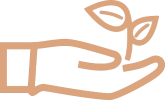 Coffee Bean